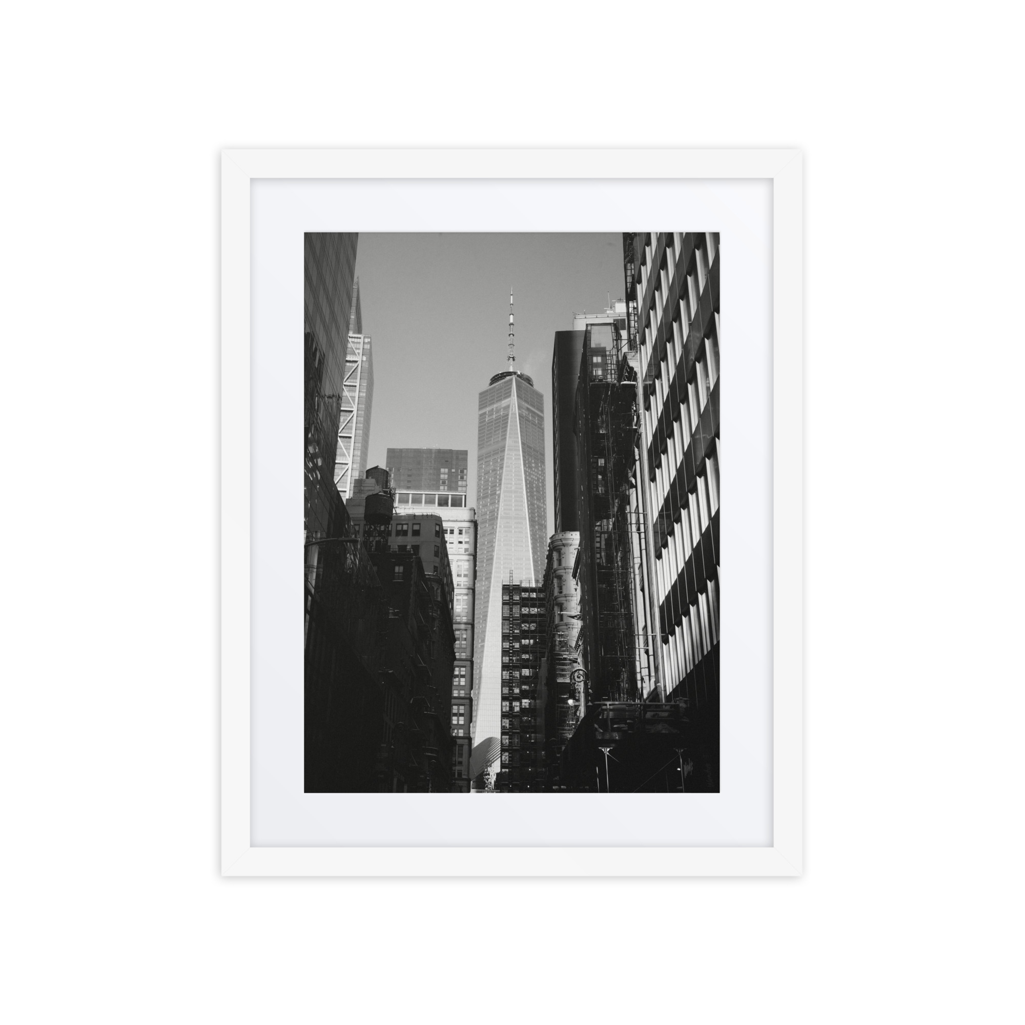 Still Standing - Image 2